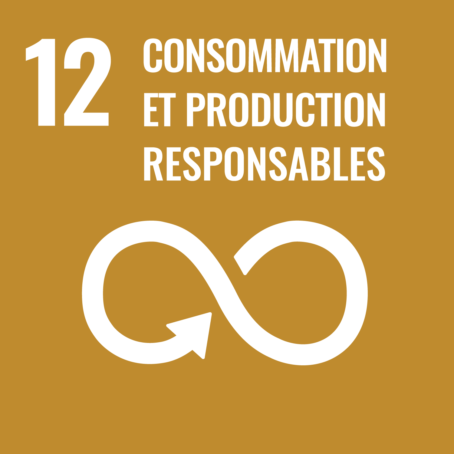 Icône de l'Objectif de Développement Durable numéro 12 : Consommation et production responsables
