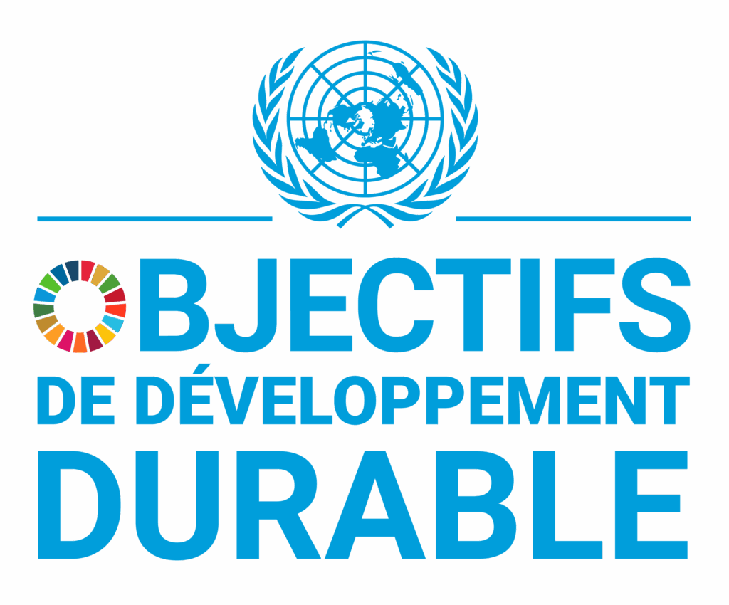 Logo des Objectifs du Développement Durable
