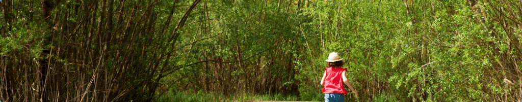 Photo d'illustration 